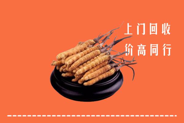 高价求购：重庆市回收散虫草